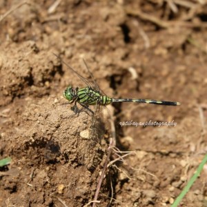 11244570_393772047485126_4491925731732327468_n