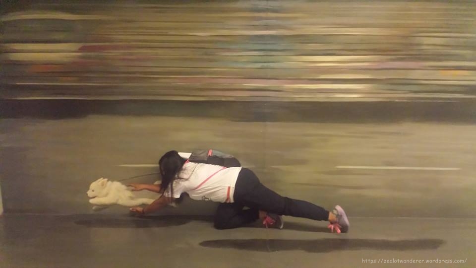 11052480_406866372842360_2438227422303675900_n