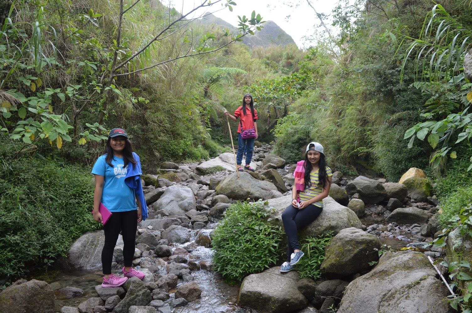 12764773_454076051454725_1839770702494892448_o