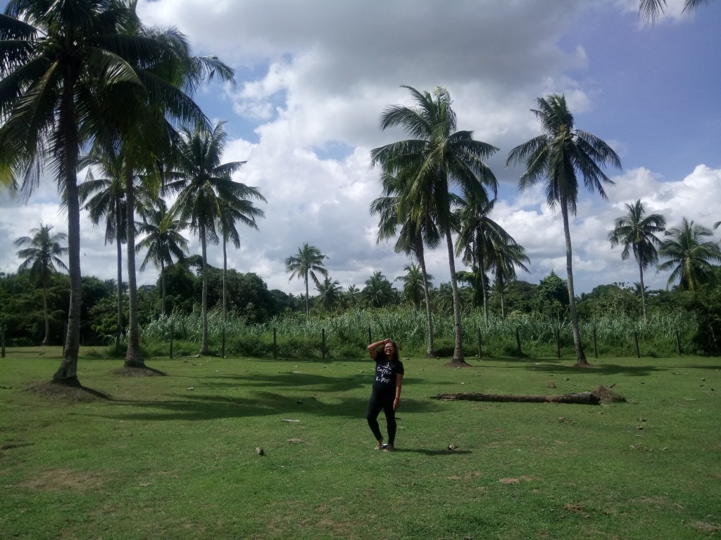 Finally, the training is done.