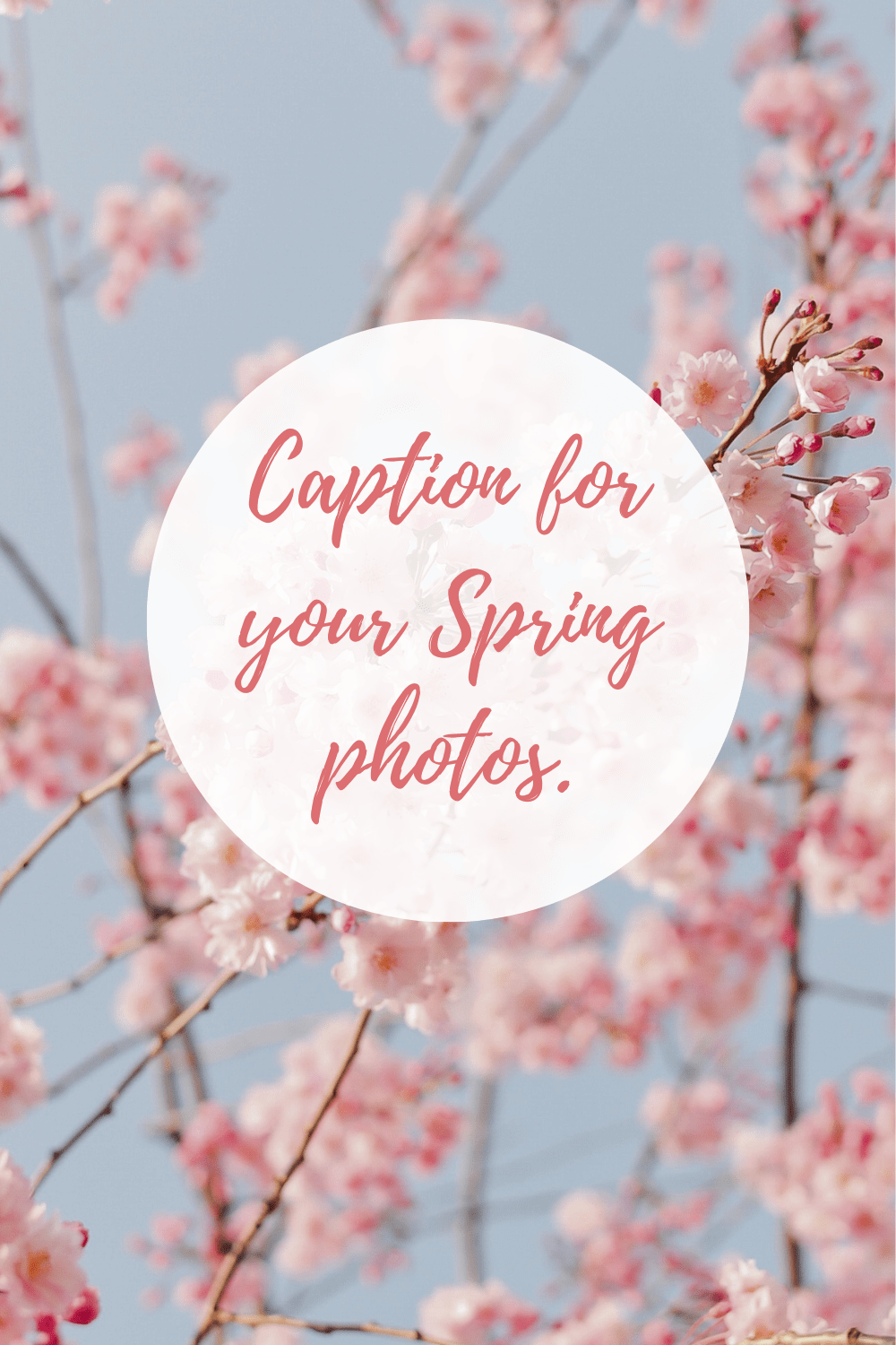 Caption for your next IG photos this Spring.